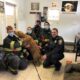Falmouth Labrador Rescue