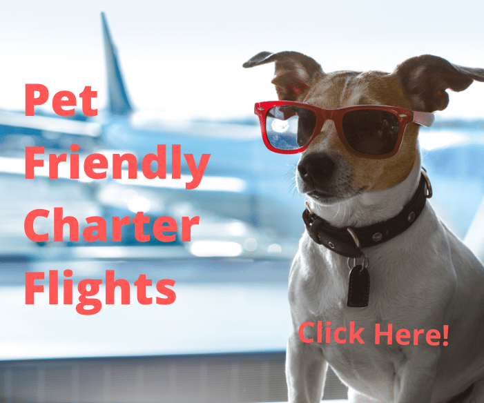 Ad For Pet Friendly Charter Flights