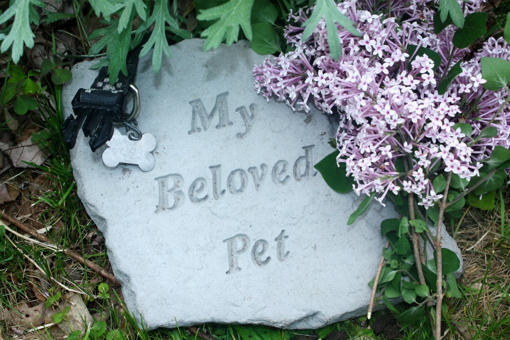 A Pet'S Tombstone Burried In The Owner'S Backyard