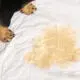 Dog Urine Stain On Mattress With Dogs Paws In The Background