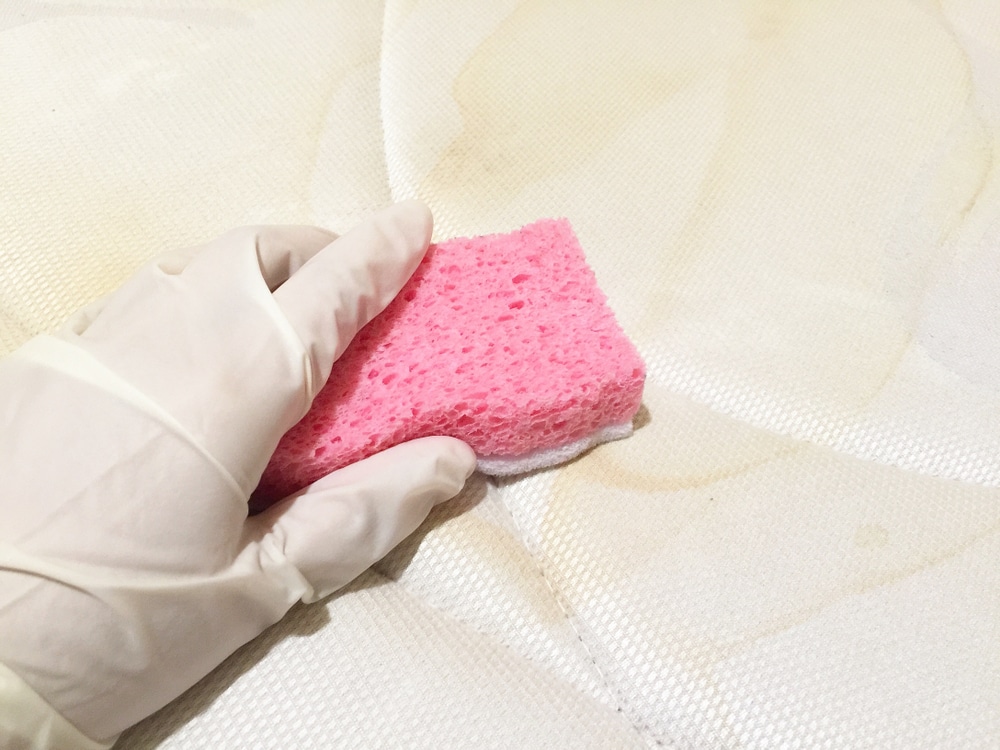 Learning How To Properly Clean Dog Urine From Mattress With A Sponge