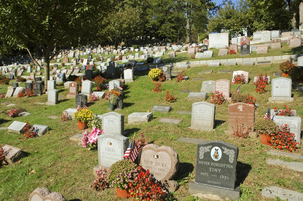 Pet Cemetery With Tombstones
