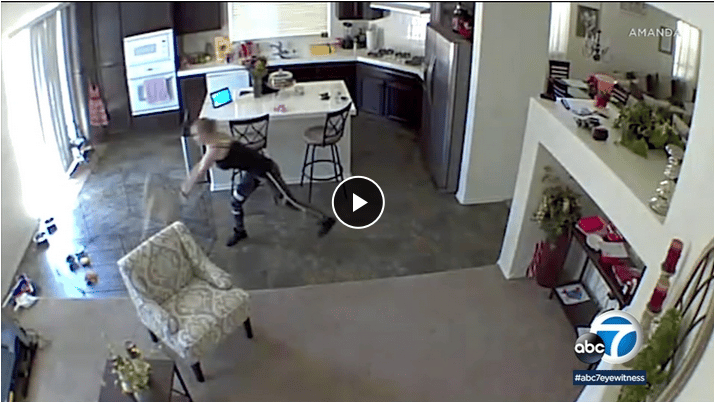 Dog Sitter Caught On Camera Slamming Puppy To The Ground - The Dogington Post