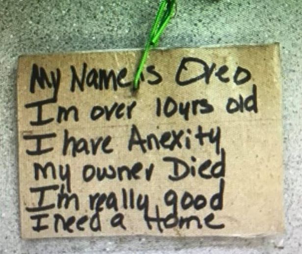 1 Dog Abandoned On Street With Heartbreaking Note