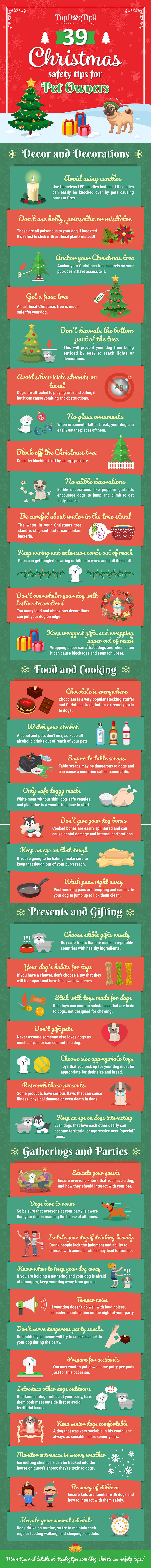 39 Christmas Safety Tips For Pet Owners