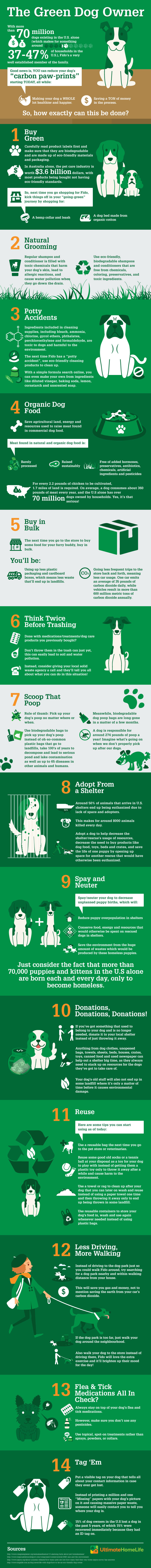 Go Green With Your Dog Infographic Ultimatehomelife.com