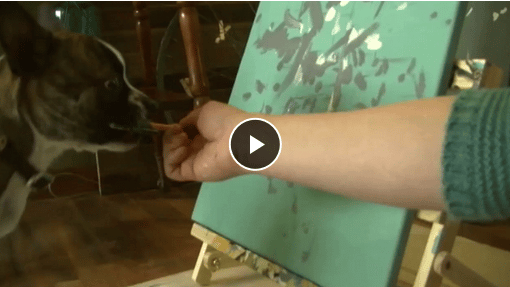 Video Newman The Dog May Be The Next Picasso The Dogington Post