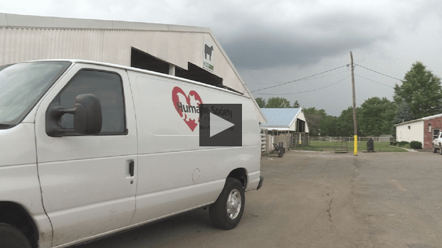 14 Dogs Found Dead In Truck After Air Conditioning Unit Fails The Dogington Post