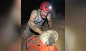 220813144435 01 Missouri Lost Dog Cave Rescue Trnd Exlarge 169