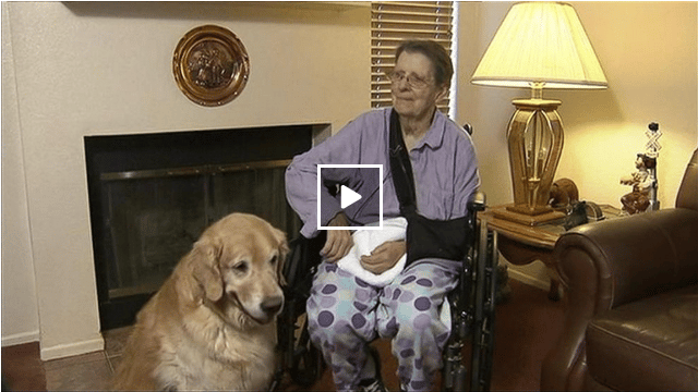 Elderly Florida Woman Kept Alive By Two Dogs After Serious Fall The Dogington Post