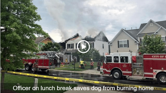 Off Duty Police Officer Kicks In Door To Save Dog From Burning Home The Dogington Post