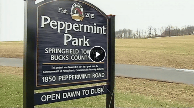 Pet Owners Blame Local Park In Death Of At Least 10 Dogs The Dogington Post