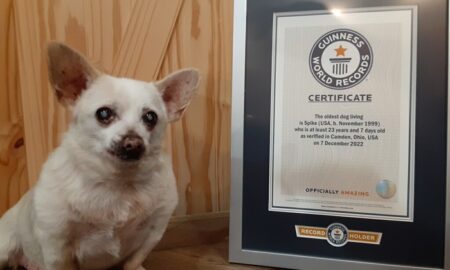 Spike With His Guinness World Records Certificate