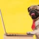 Pug With A Necktie Funny Dog Posts
