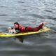 Tofu The Dog Being Rescued By Long Beach Lifeguard 7