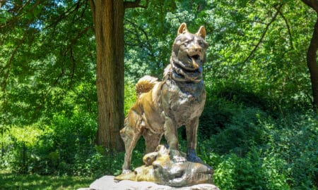 Balto Statue In Central Park In New York