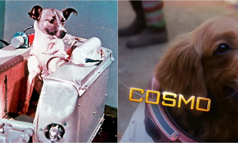 Cosmo And Laika The Space Dogs