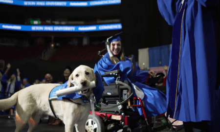 Justin The Service Dog With His Own Diploma