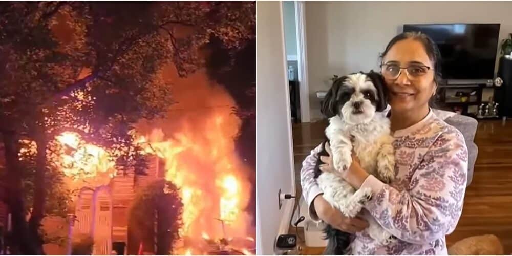 Kashmira Patel And Her Dog That Died In A Long Island House Fire | Photos From Nbc New York