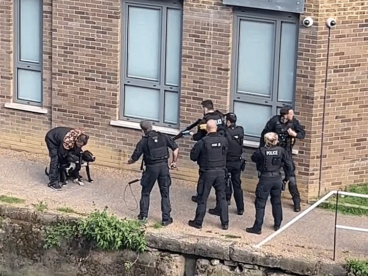 Met Police Shooting Two Dogs And Tasering The Dogs' Owner