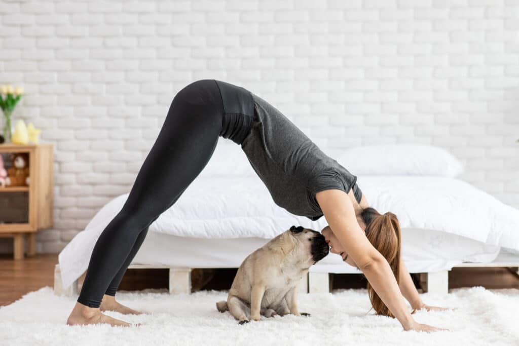 Woman Doing Downward Dog Yoga Pose With Her Pug