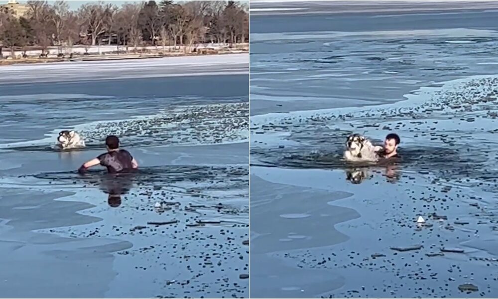 Man Saving A Drowning Dog In A Freezing Lake