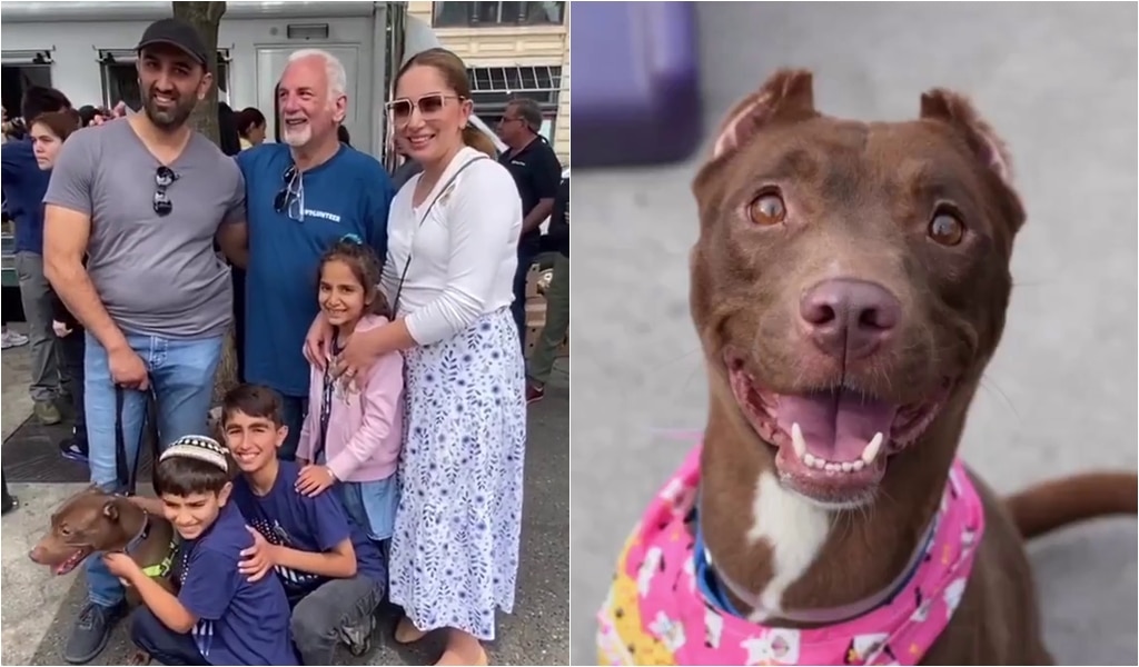 Family Reunites With Their Stolen Dog At Pet Adoption Event After 5 Months