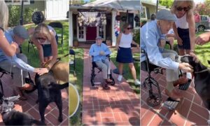 Mr Robert Moore celebrating his 100th birthday with dogs