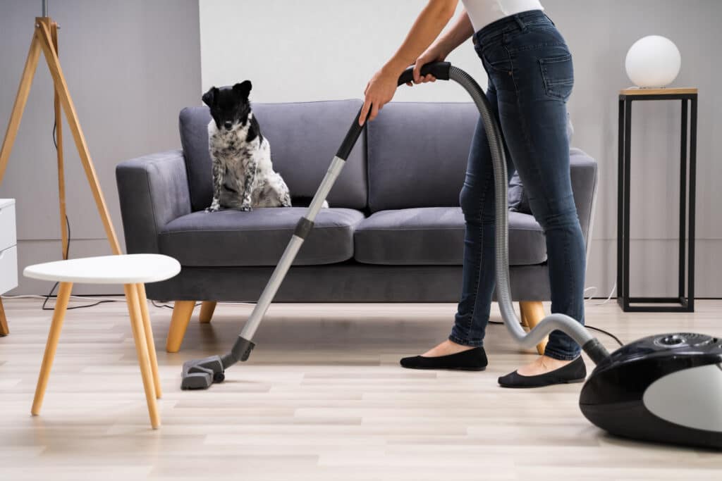 Woman Cleaning Carpet With Vacuum Cleaner At Home
