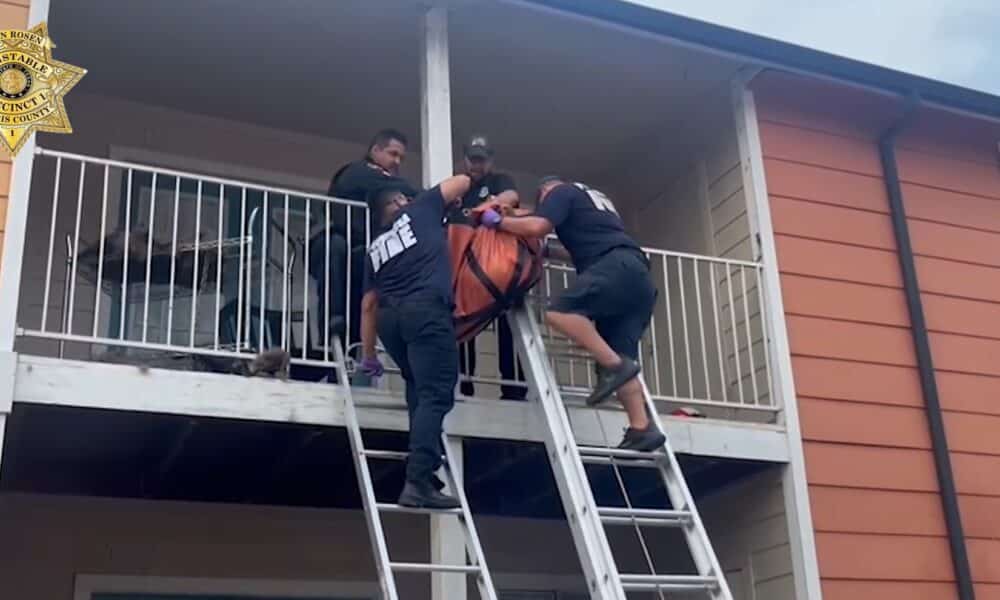 Dog Getting Rescued From A Balcony