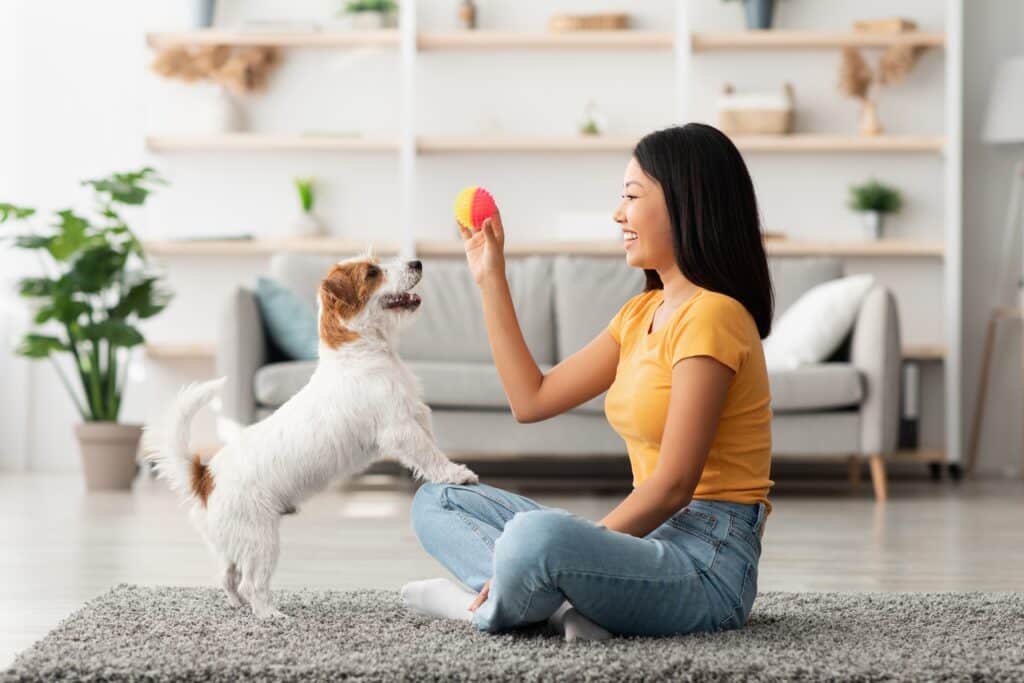 Dona brincando com cachorro alegre em casa
