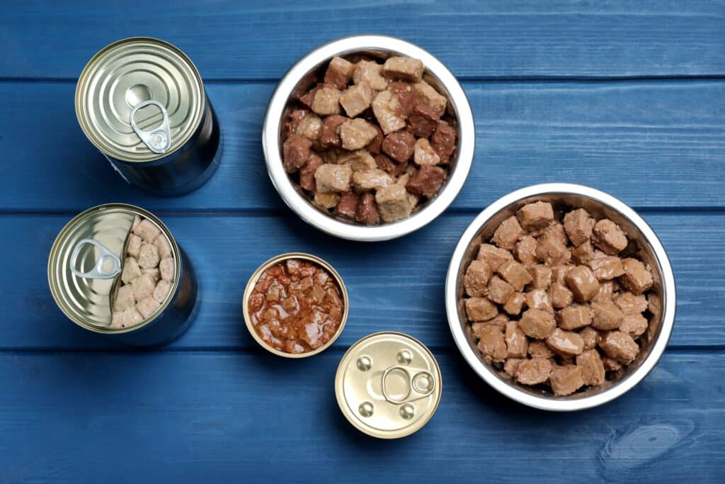 Flatlay Of Wet Dog Food On A Blue Table