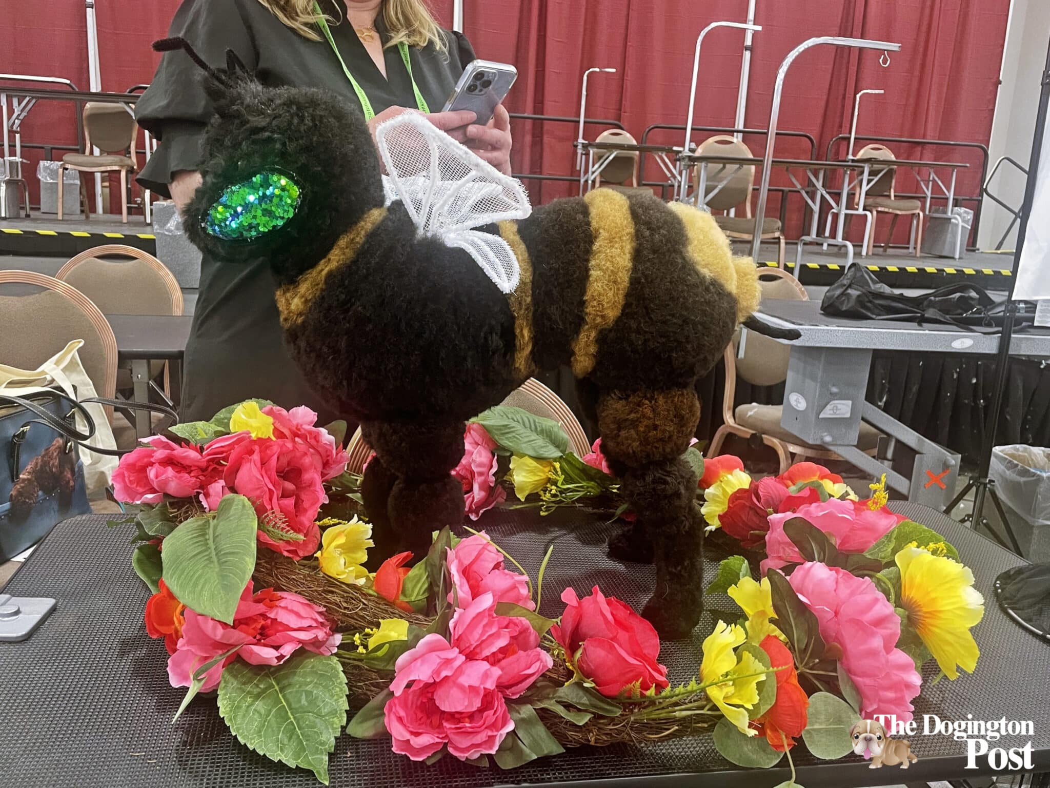 Styling Contest Paw-some and Stylish: SuperZoo 2023 Holds A Special Creative Dog & Cat ...