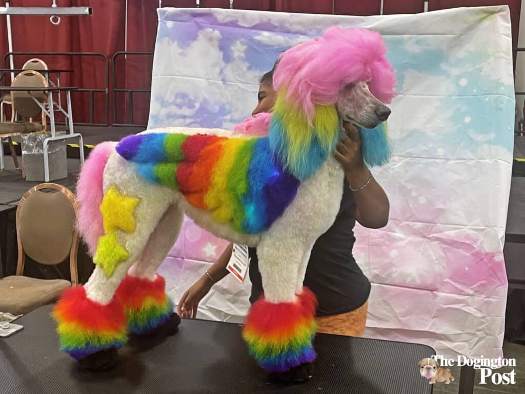 Superzoo Creative Dog &Amp; Cat Styling Rainbow Brite