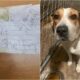 &Quot;Please Help, Take Me To A Shelter. My Name Is Lola.&Quot; Is The Heartbreaking Note Attached To A Dog Who Jumped Into A Wisconsin Police Officer'S Car To Be Saved.