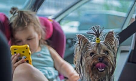 Baby Girl With A Phone And Small Dog Inside The Car