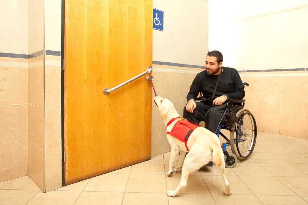 Homem em cadeira de rodas com auxílio de cachorro treinado no banheiro de um supermercado
