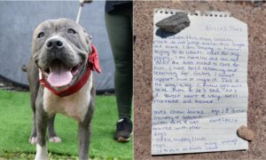 Milo And His Owner'S Note