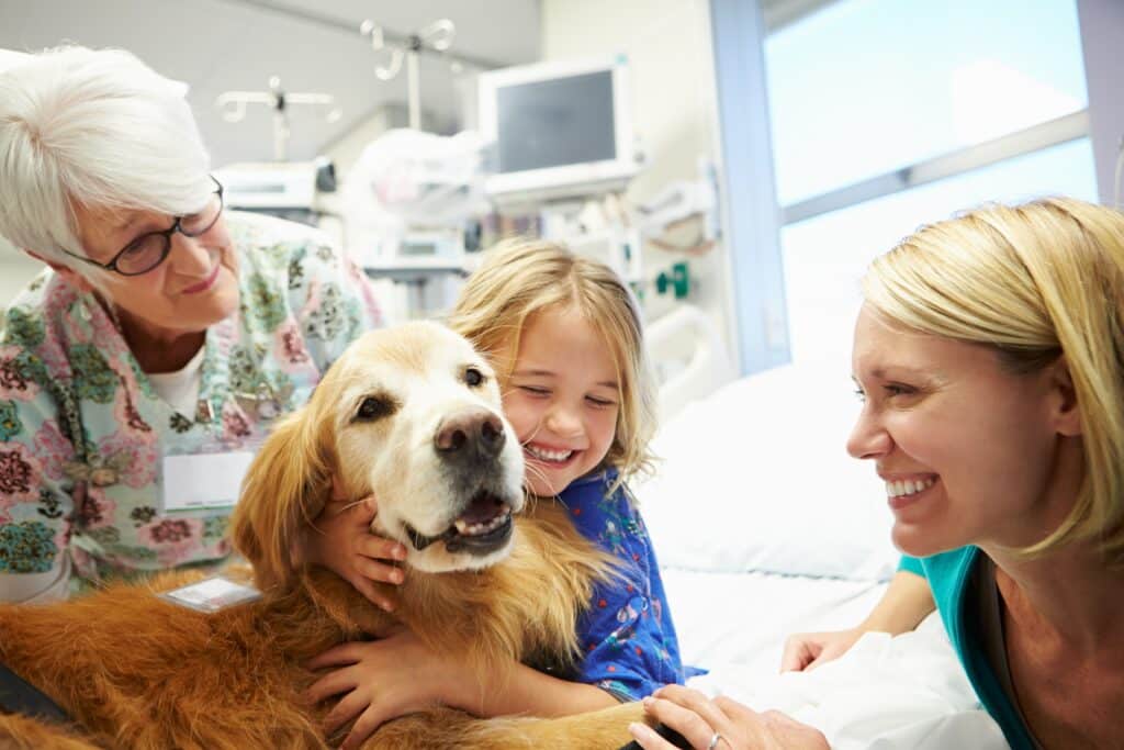 Jovem sendo visitada no hospital por cachorro de terapia