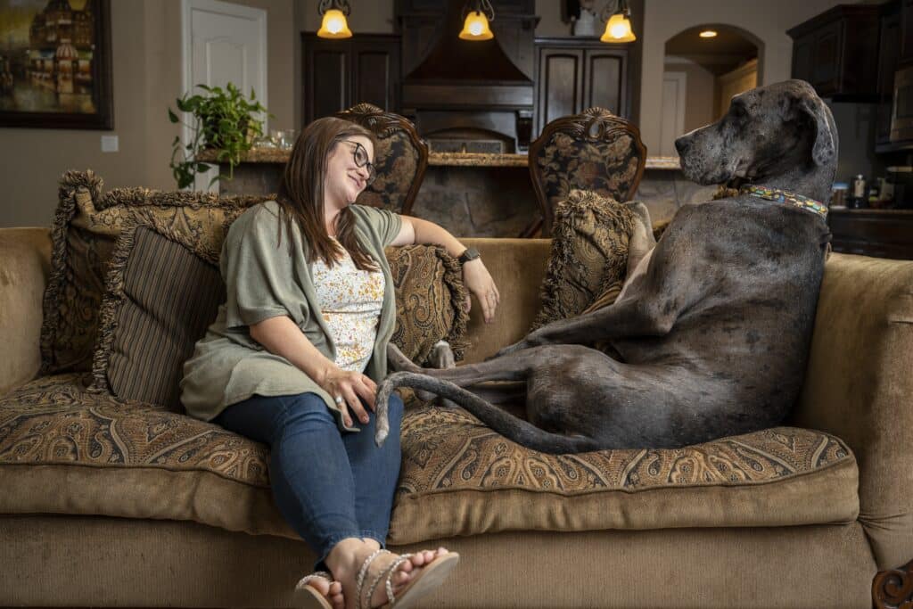Zeus The Tallest Living Male Dog With His Owner