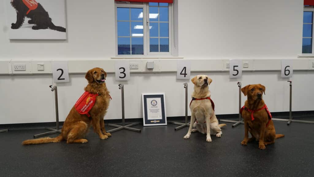 Detentores de recordes para as amostras médicas mais consecutivas identificadas por cães