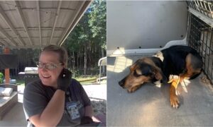 Postal worker saves dog bitten by a venomous snake