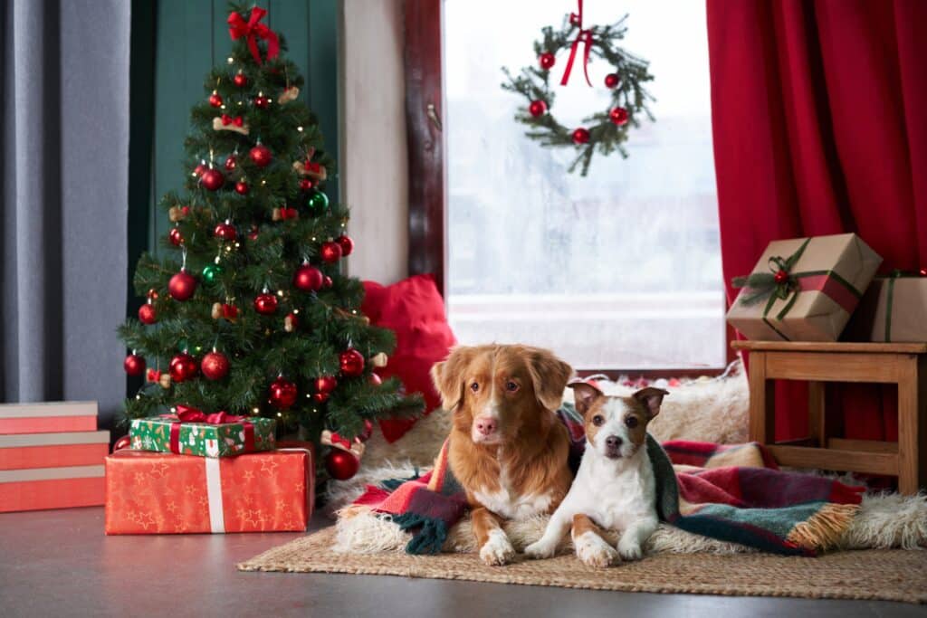 Dogs Posing By A Christmas Tree With Gifts