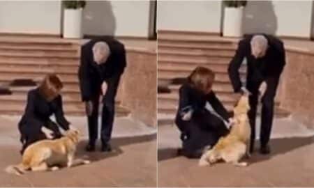 Moldovan President'S Dog Bites Visiting Austrian President