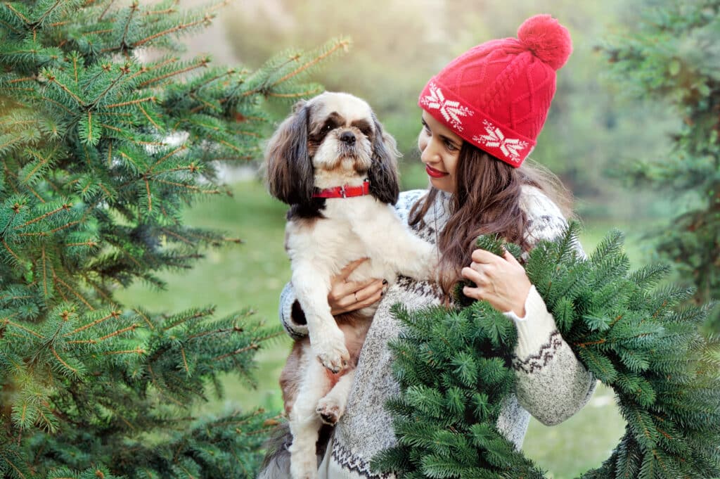 Köpeğiyle Noel Ağacı Çiftliğinde Köknar Ağacı ve Çelenk Seçen Kadın
