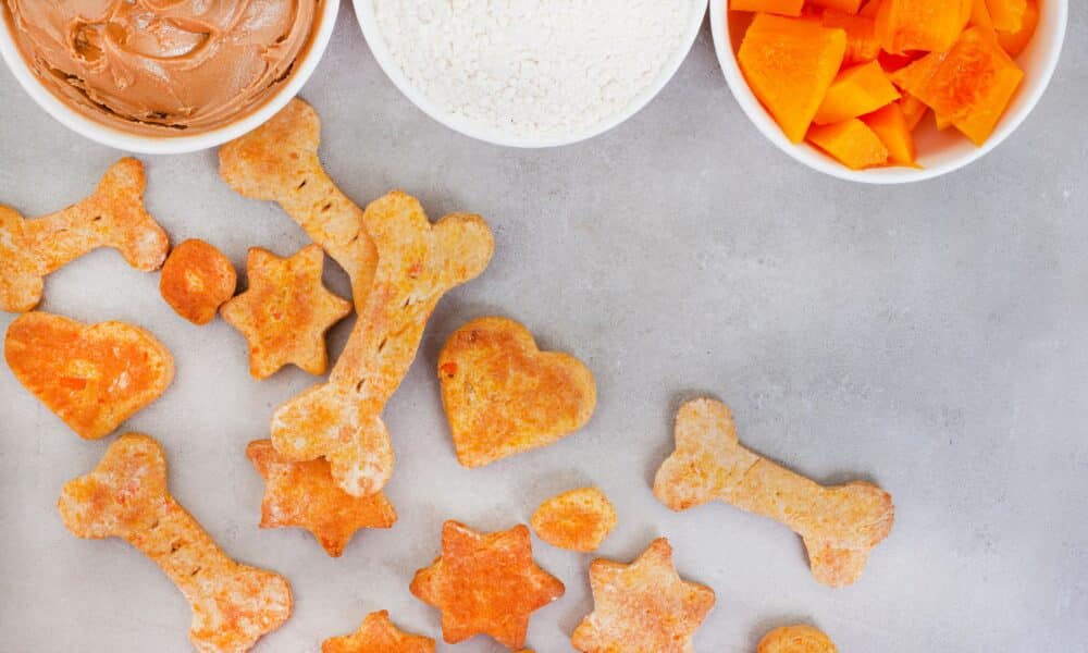 Homemade Fall Dog Treats And Ingredients