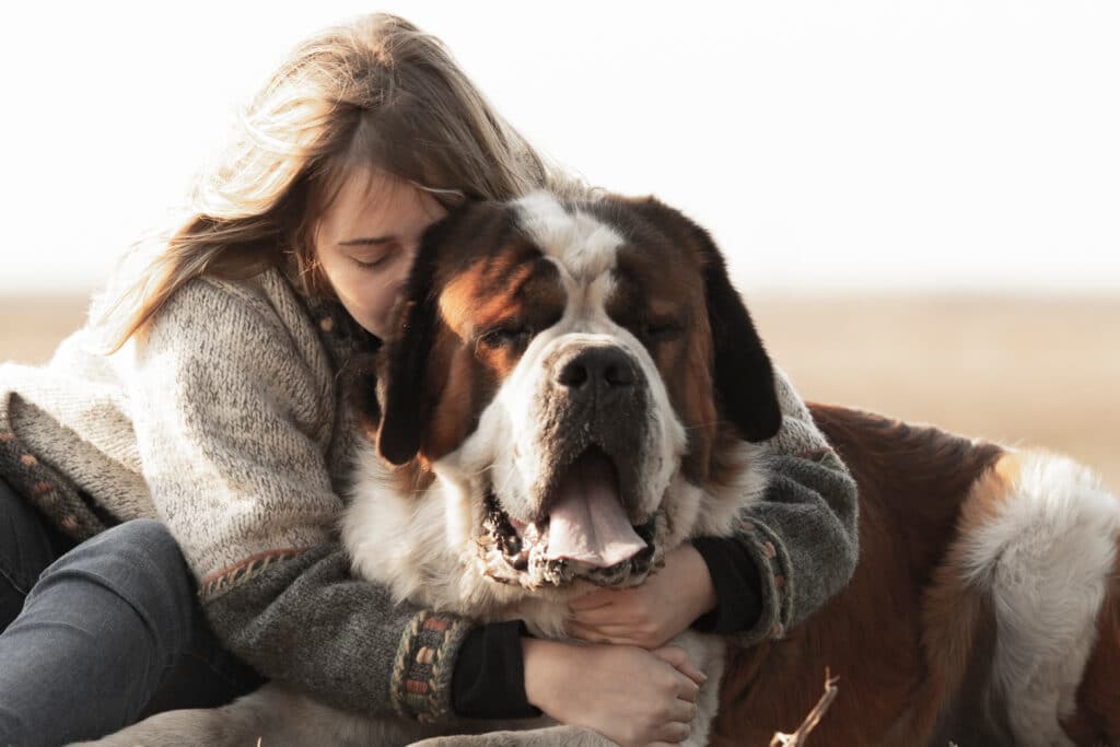 Girl Hugging Her Big Bernard Dog
