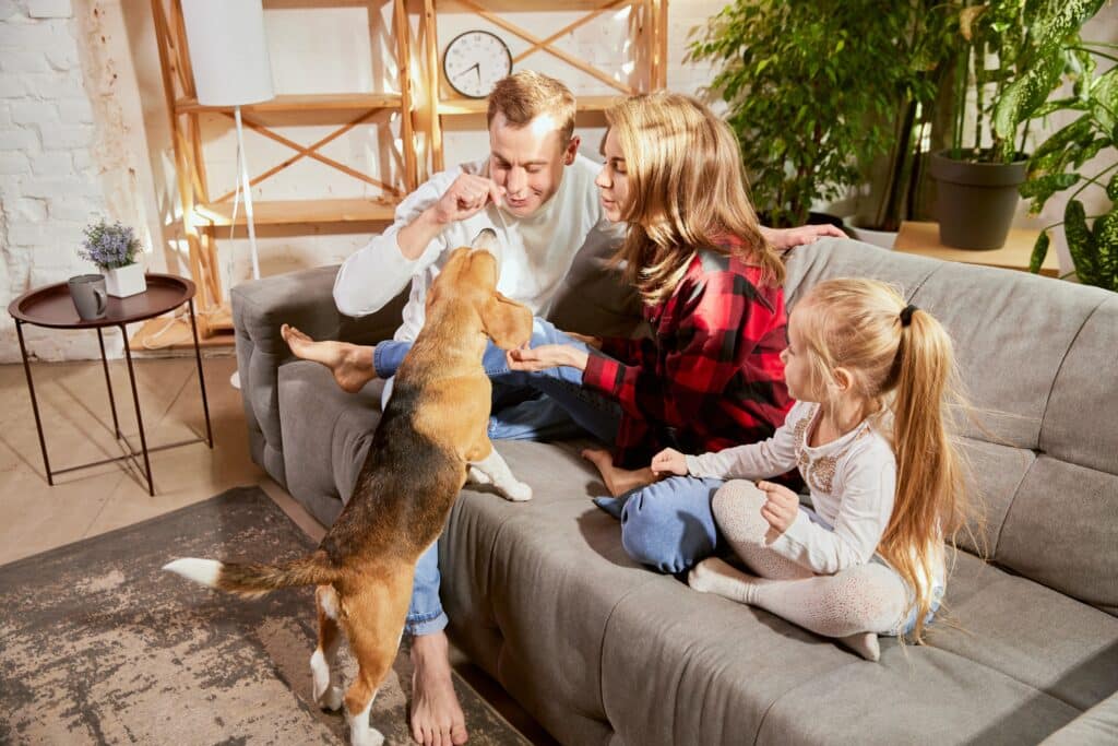Happy Family With Kid And Dog Spending Time Together On Warm Sunny Day At Home.