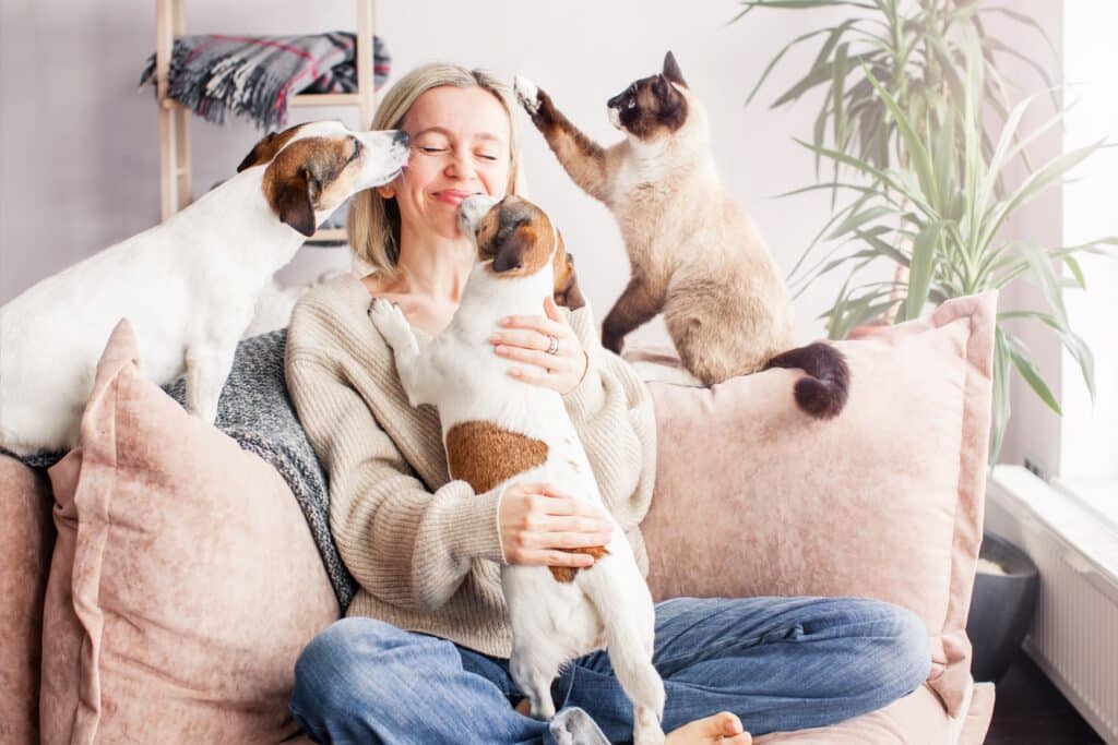 Mulher feliz brincando com seus cachorros e gatos no sofá de casa