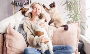 Happy woman playing with her dogs and cat on the couch at home